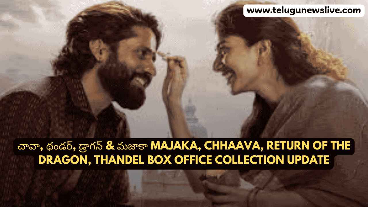 చావా, థండర్, డ్రాగన్ & మజాకా Majaka, Chhaava, Return of the Dragon, Thandel Box Office Collection Update